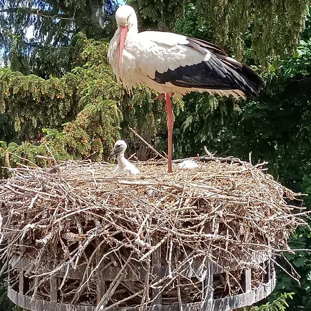 Pensjonat Gites Ostheim 3*